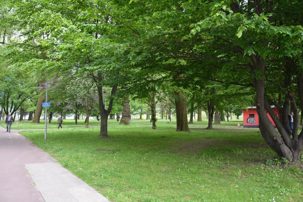 Apartment Locarno-Lido Екстер'єр фото